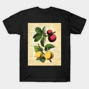 Vintage Apple Apricot Botanical on book page T-Shirt